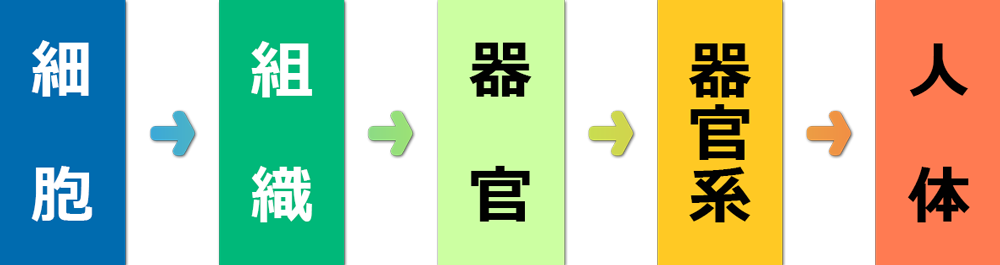 .__s01.png